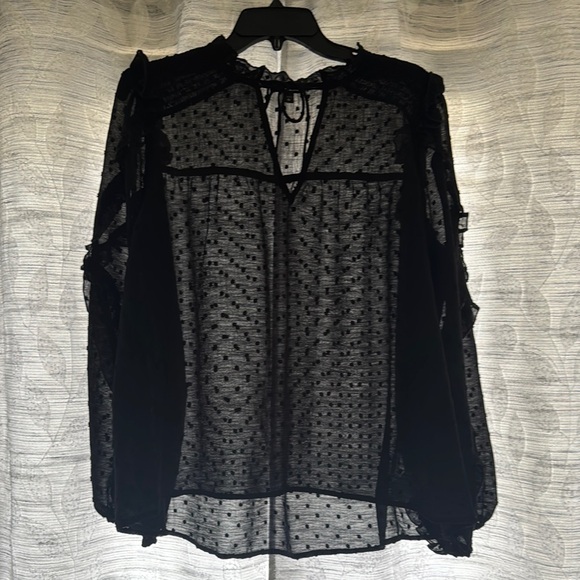 Express Tops - Express Black Sheer Top